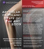 Articular Cartilage: State of the Art 2009